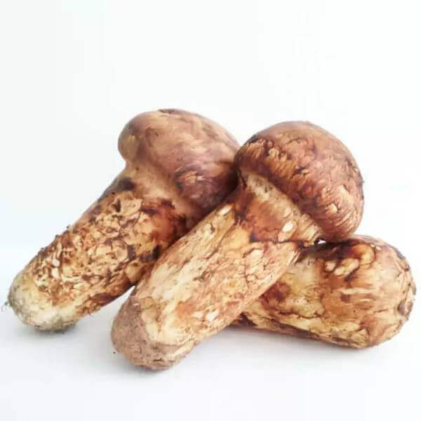 Matsutake Drying Process